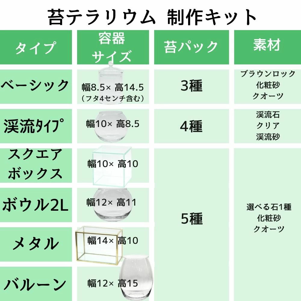 【ボウル2L type】苔テラリウム制作キット《苔パック5種》