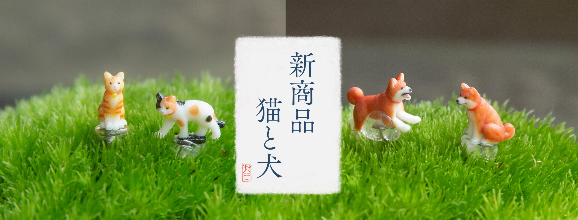 苔テラリウム専門店-苔むすび OnlineShop 苔テラリウム専門店-苔むすび OnlineShop