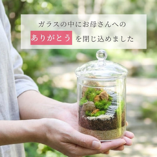月1回のお水で育つ！ 母の日特別ラッピング [苔テラリウム完成品 Lキャニスター]