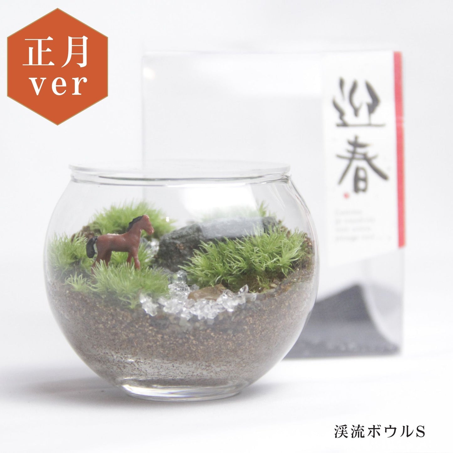 《迎春》苔テラリウム「駆（うま）」＼送料無料／