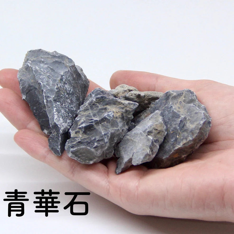 【ボウル2L type】苔テラリウム制作キット《苔パック5種》