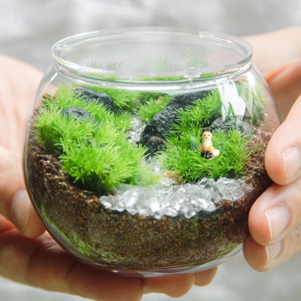 キツネ1匹_渓流の風景 ボウルM《苔テラリウム・コケリウム》