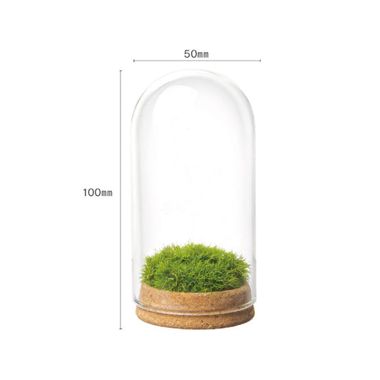 モスコルクドーム《サイズ3種類》