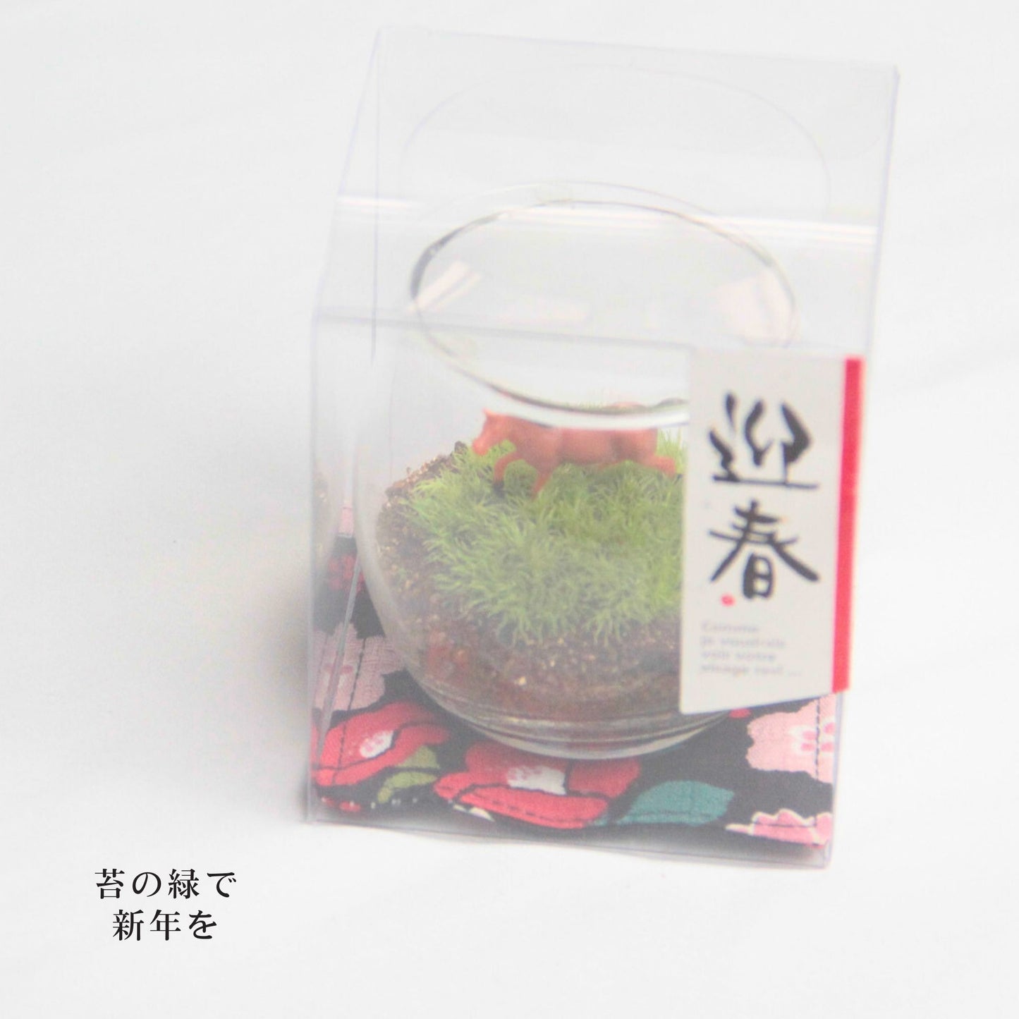 《迎春》苔テラリウム「駆（うま）」＼送料無料／