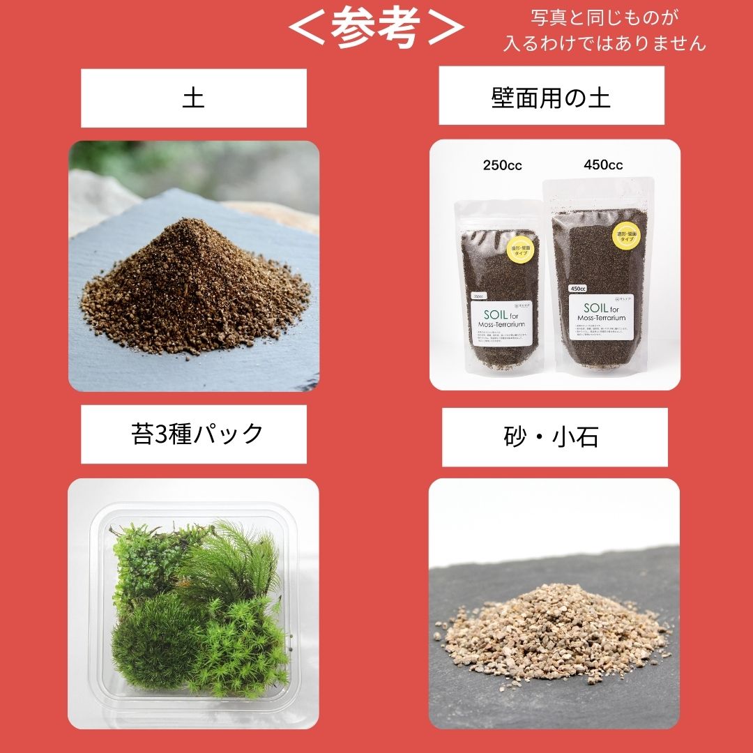 【数量限定】2026年新春福袋（12,000円）育てる楽しみが全部入った♪ガジュマル×苔テラリウム 満足セット福袋