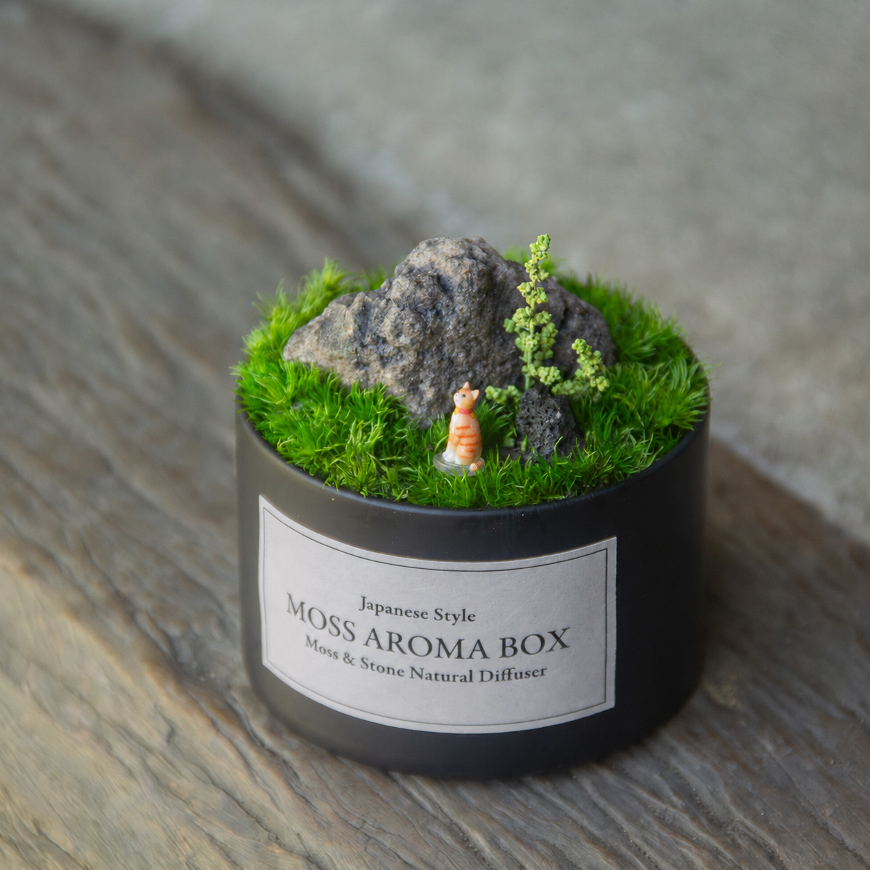 苔香箱 Moss Aroma Box｜苔と溶岩石のアロマディフューザー