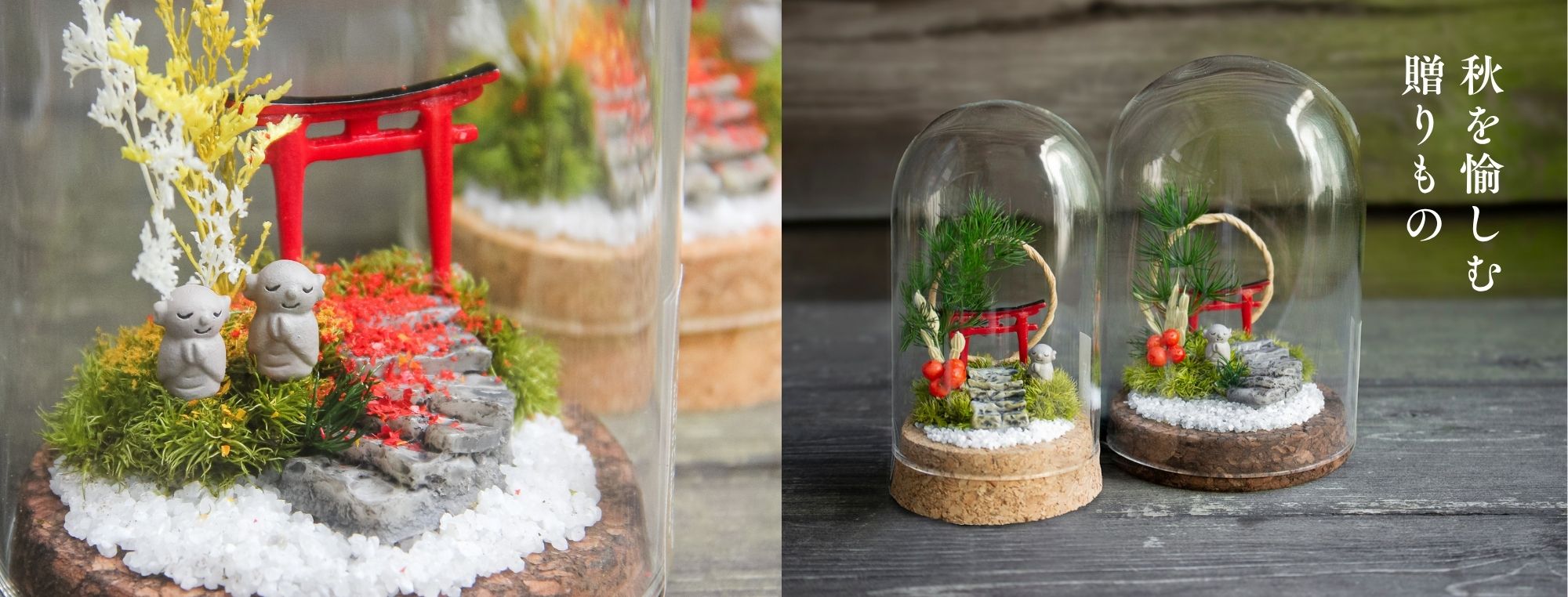 苔テラリウム専門店-苔むすび OnlineShop