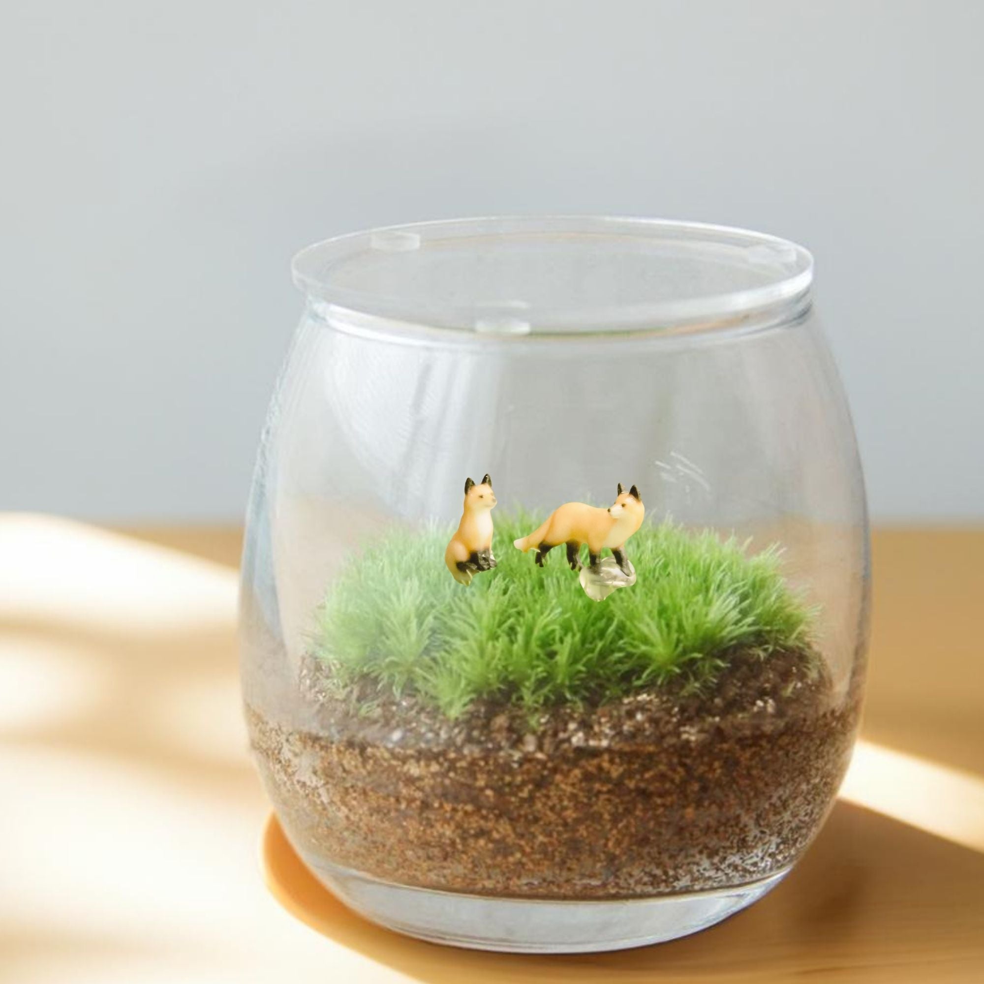 新商品 – 苔むすび
