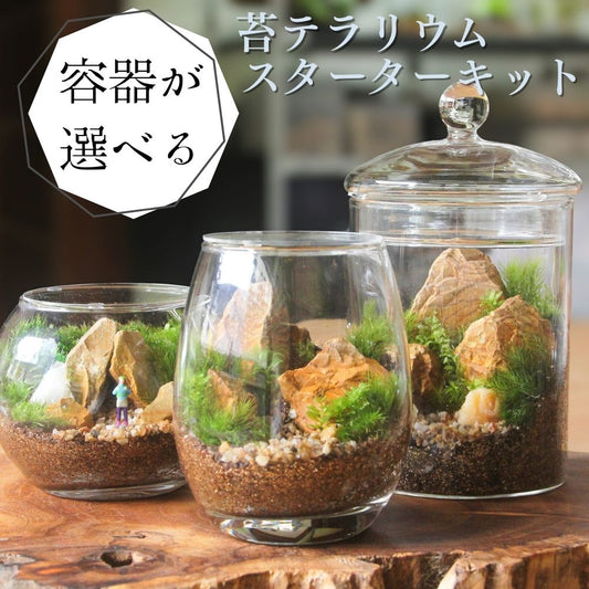 【容器が選べる】苔テラリウム スターターキット｜初心者向け 【苔3種パック付き】