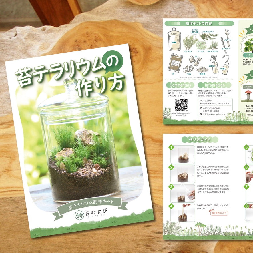 【数量限定】2025年新春福袋（苔植えるだけキット）