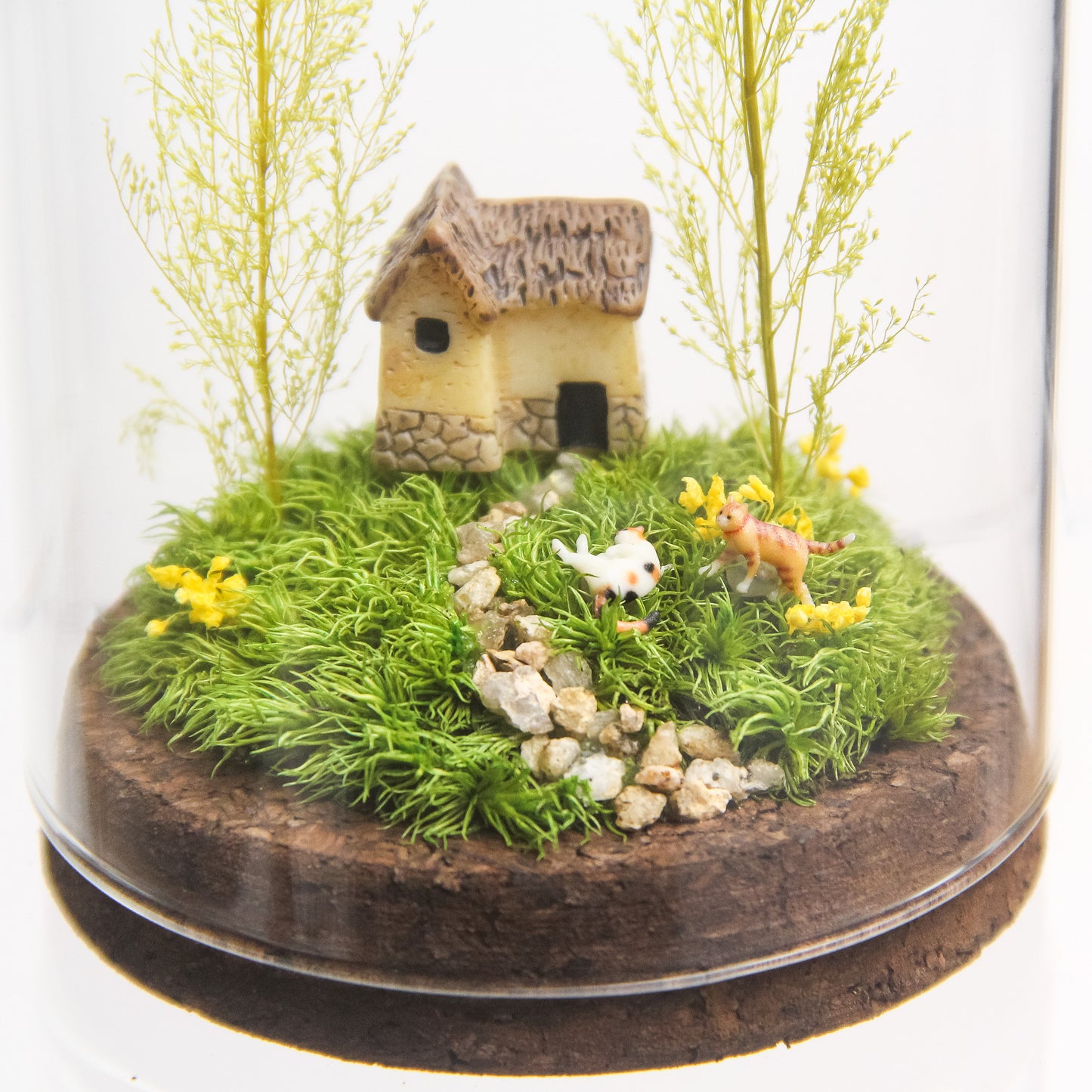 ネコ2匹_草原の家 [φ75mm]《プリザーブド苔テラリウム》