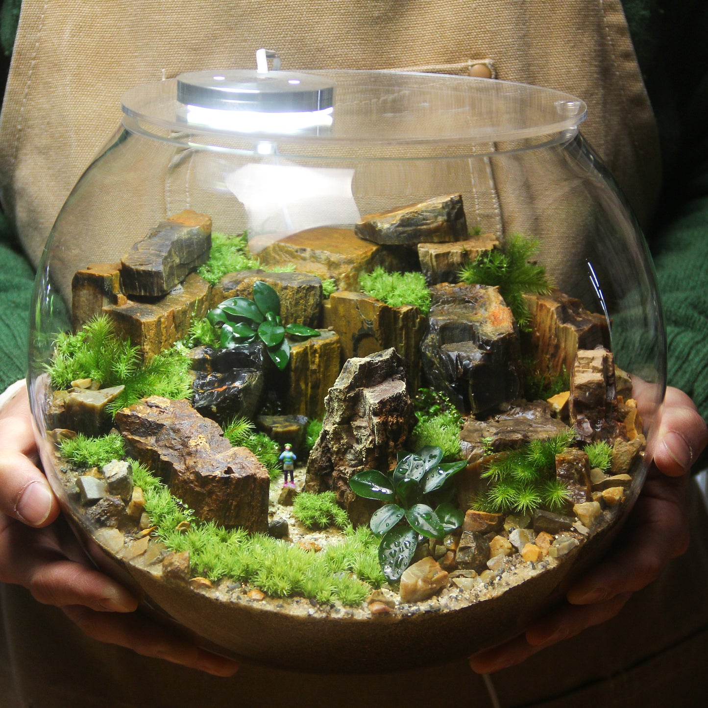 プレミアム_ボウル No.039 直径25cm×高さ20cm《苔テラリウム・コケリウム》