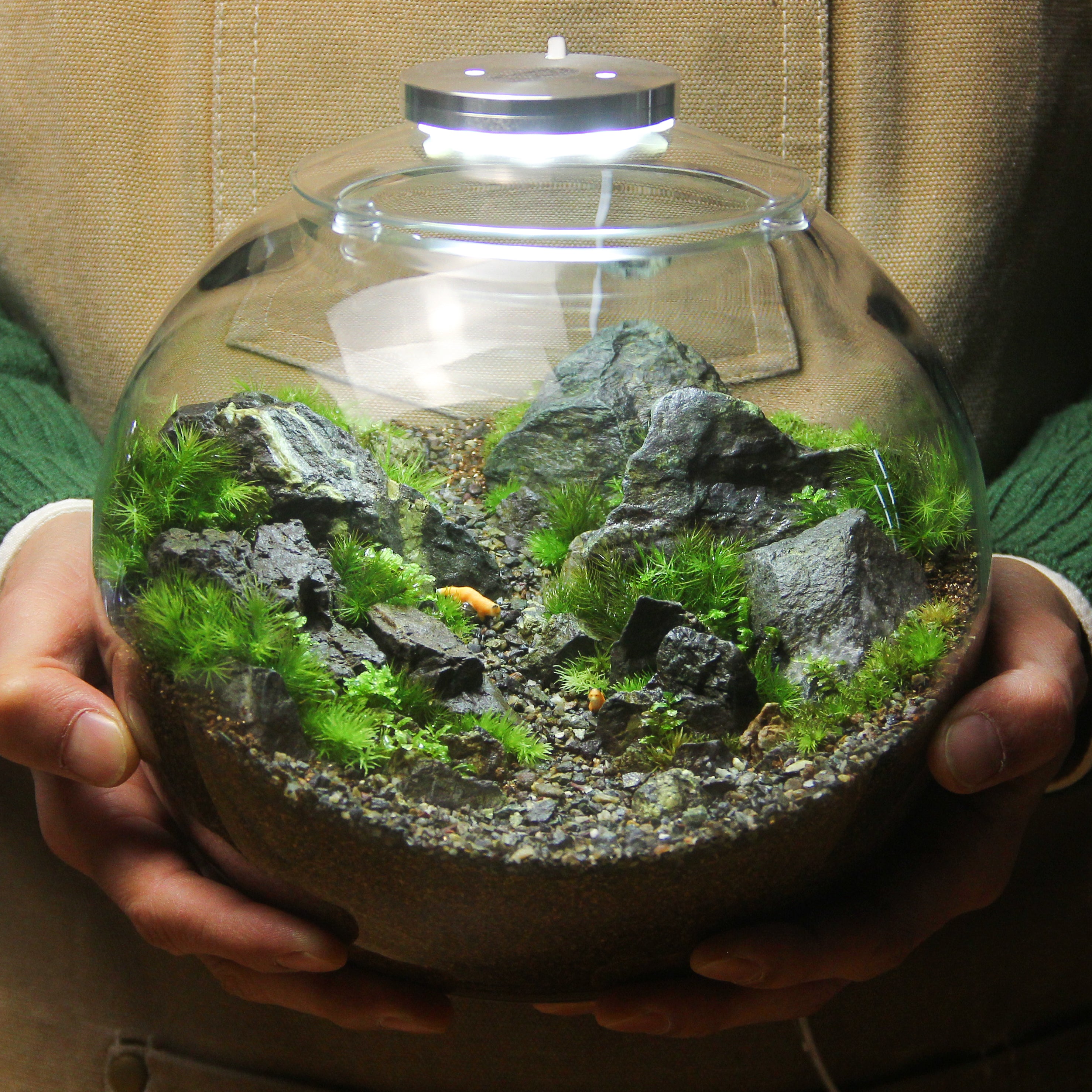 大人も着やすいシンプルファッション 苔むすび-プレミアム限定作品- 工芸品