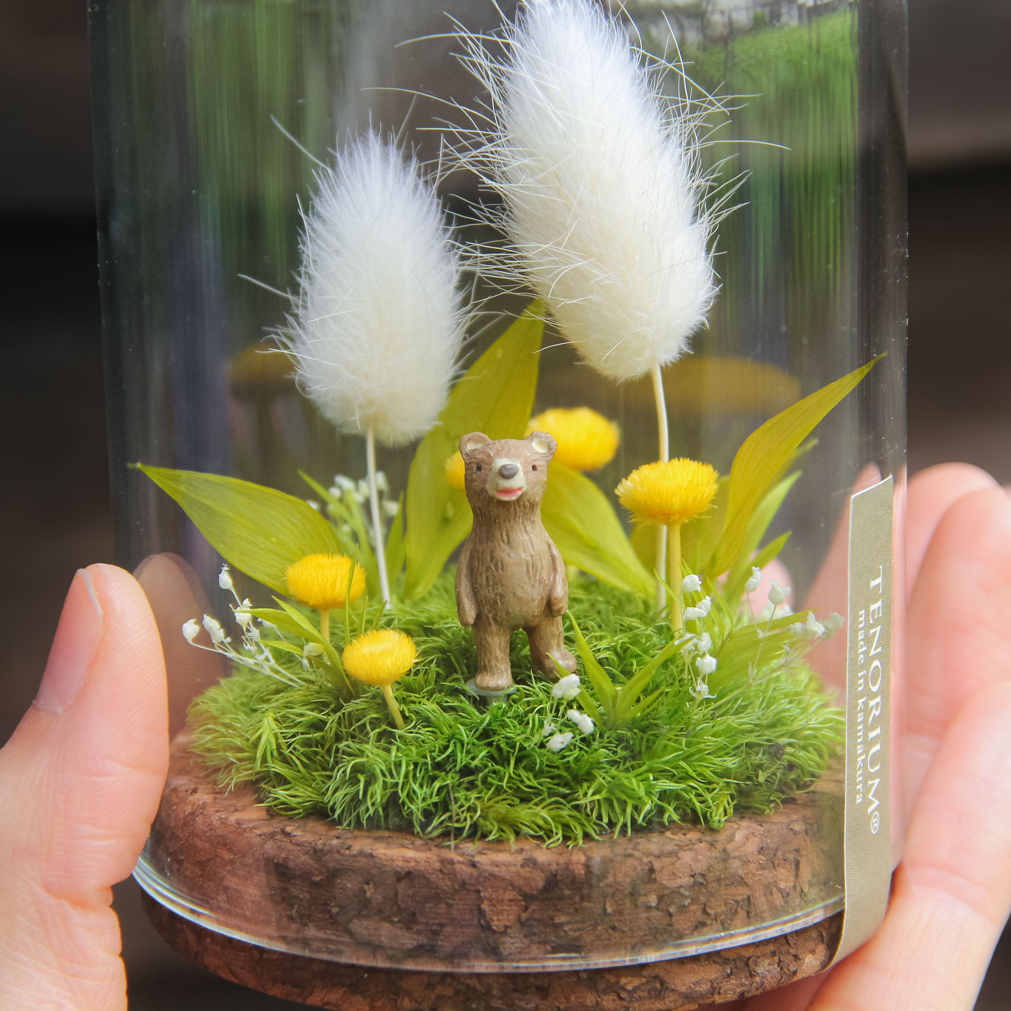商品 – 苔むすび