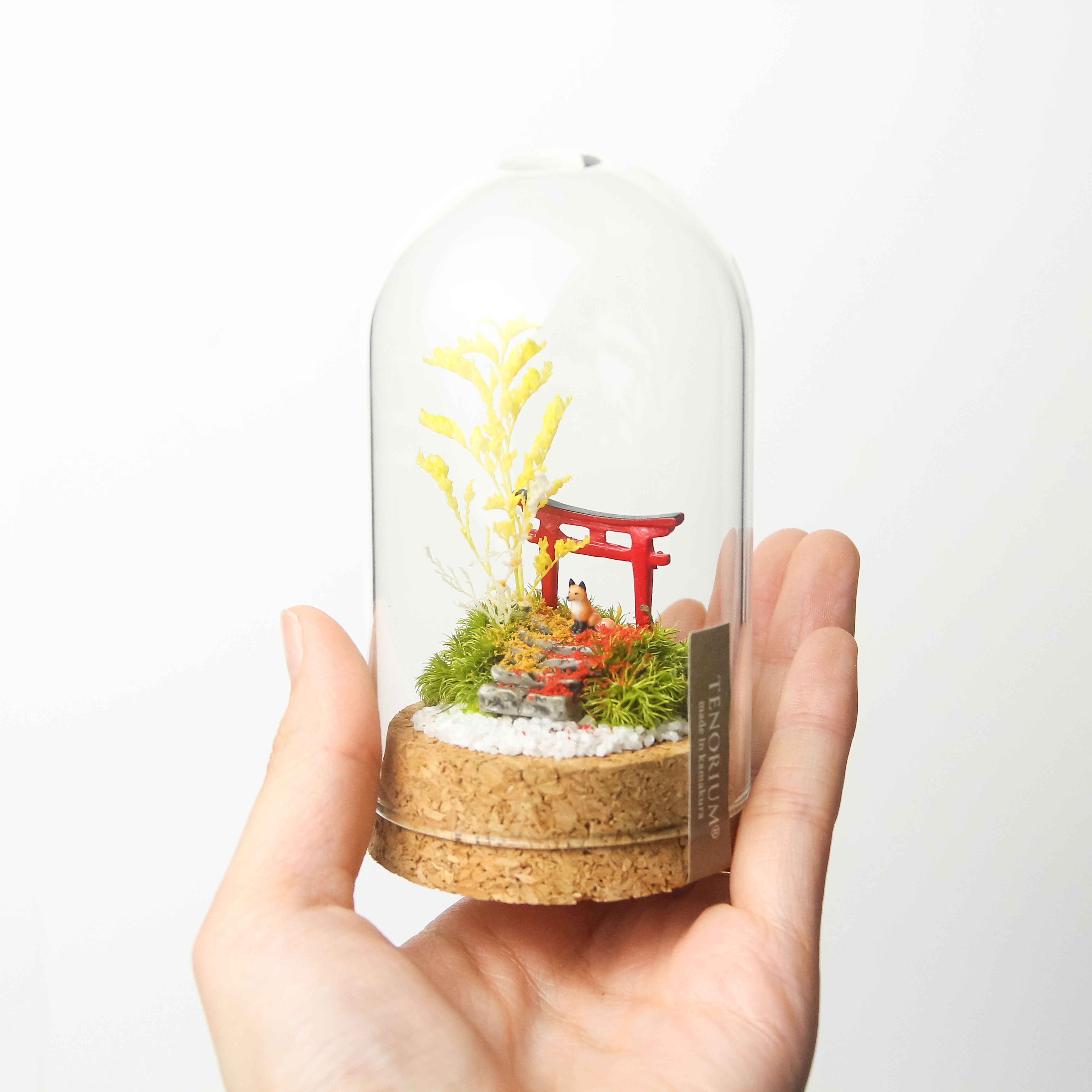 和風シリーズ – 苔むすび