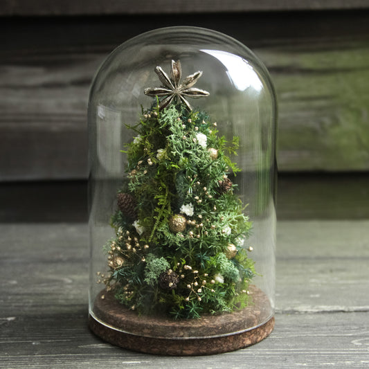 苔むす森のミニツリー 《プリザーブド苔テラリウム》
