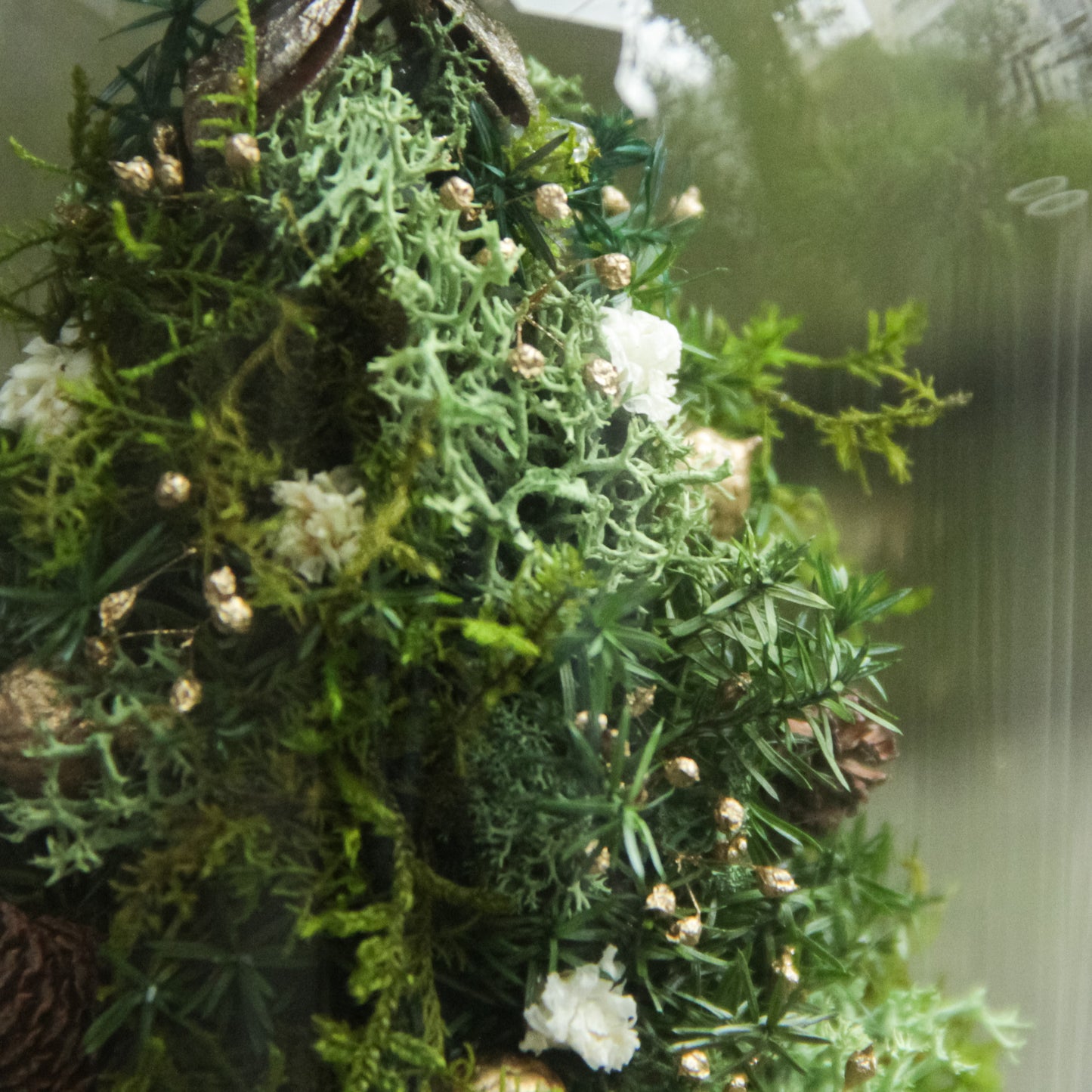 苔むす森のミニツリー 《プリザーブド苔テラリウム》