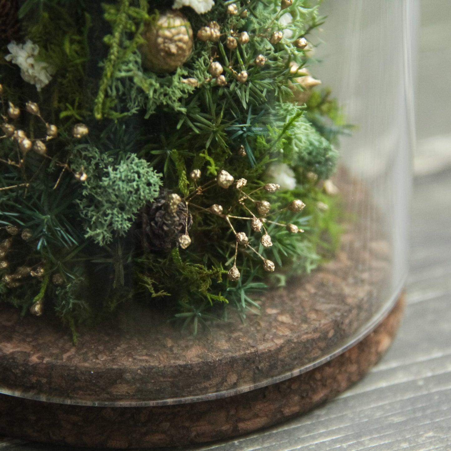 苔むす森のミニツリー 《プリザーブド苔テラリウム》