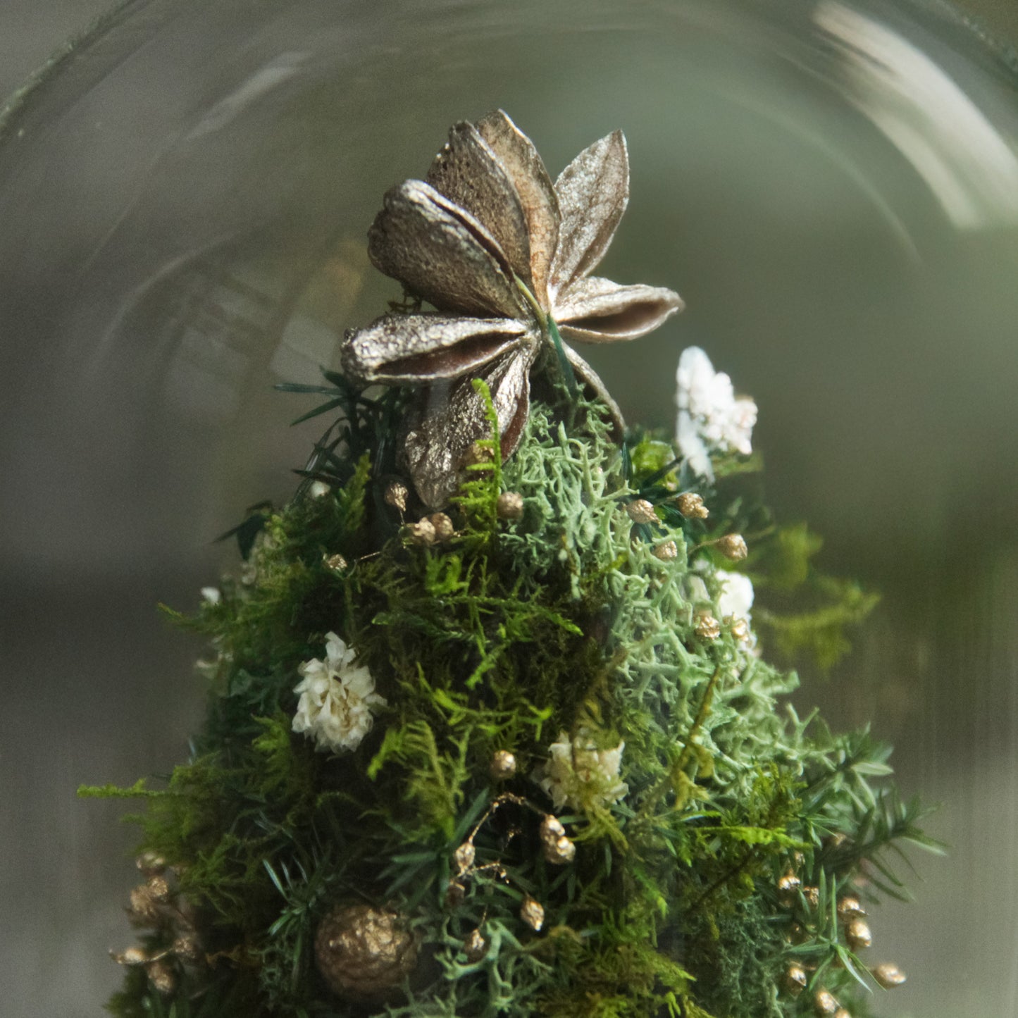 苔むす森のミニツリー 《プリザーブド苔テラリウム》