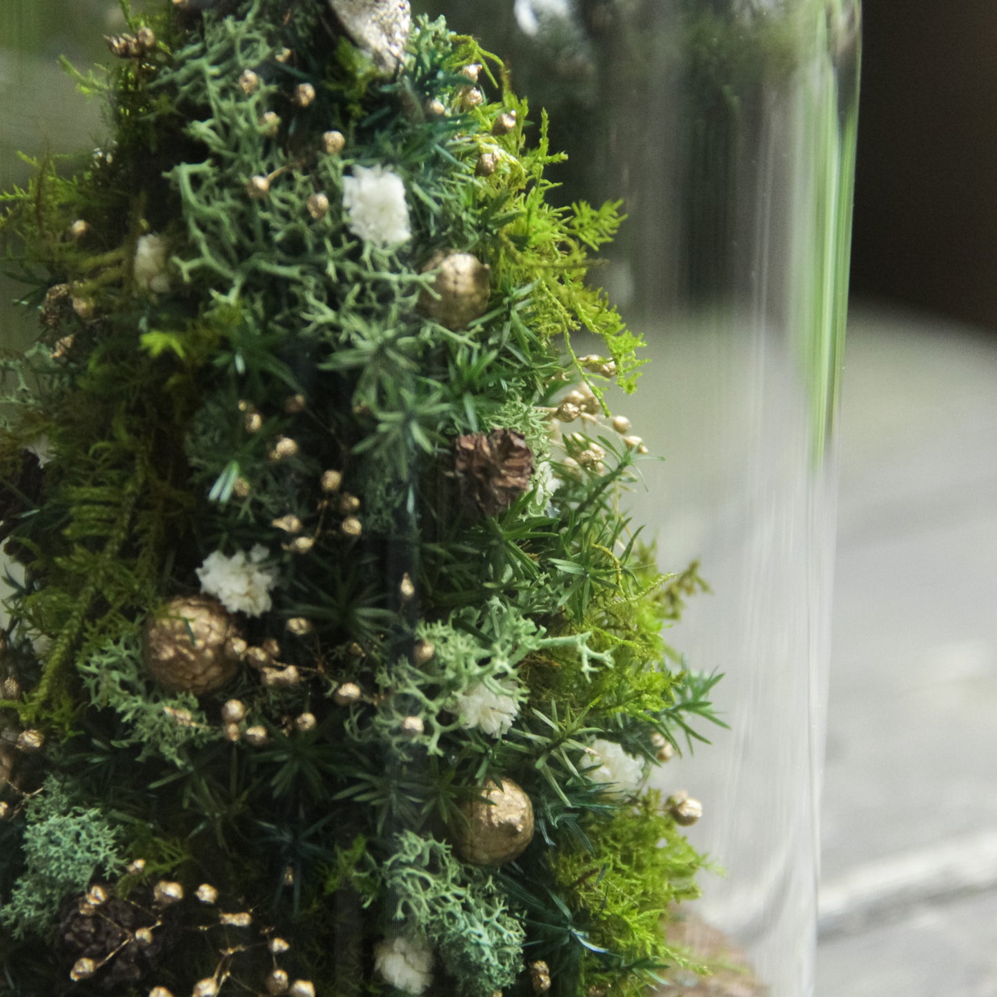 苔むす森のミニツリー 《プリザーブド苔テラリウム》