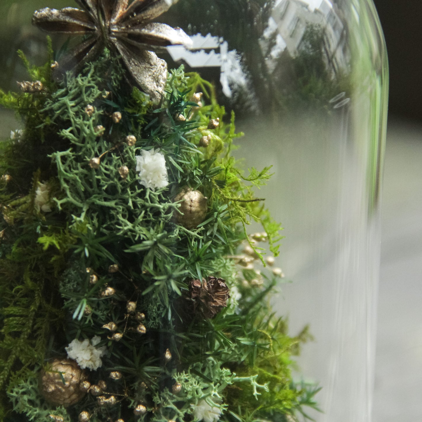 苔むす森のミニツリー 《プリザーブド苔テラリウム》
