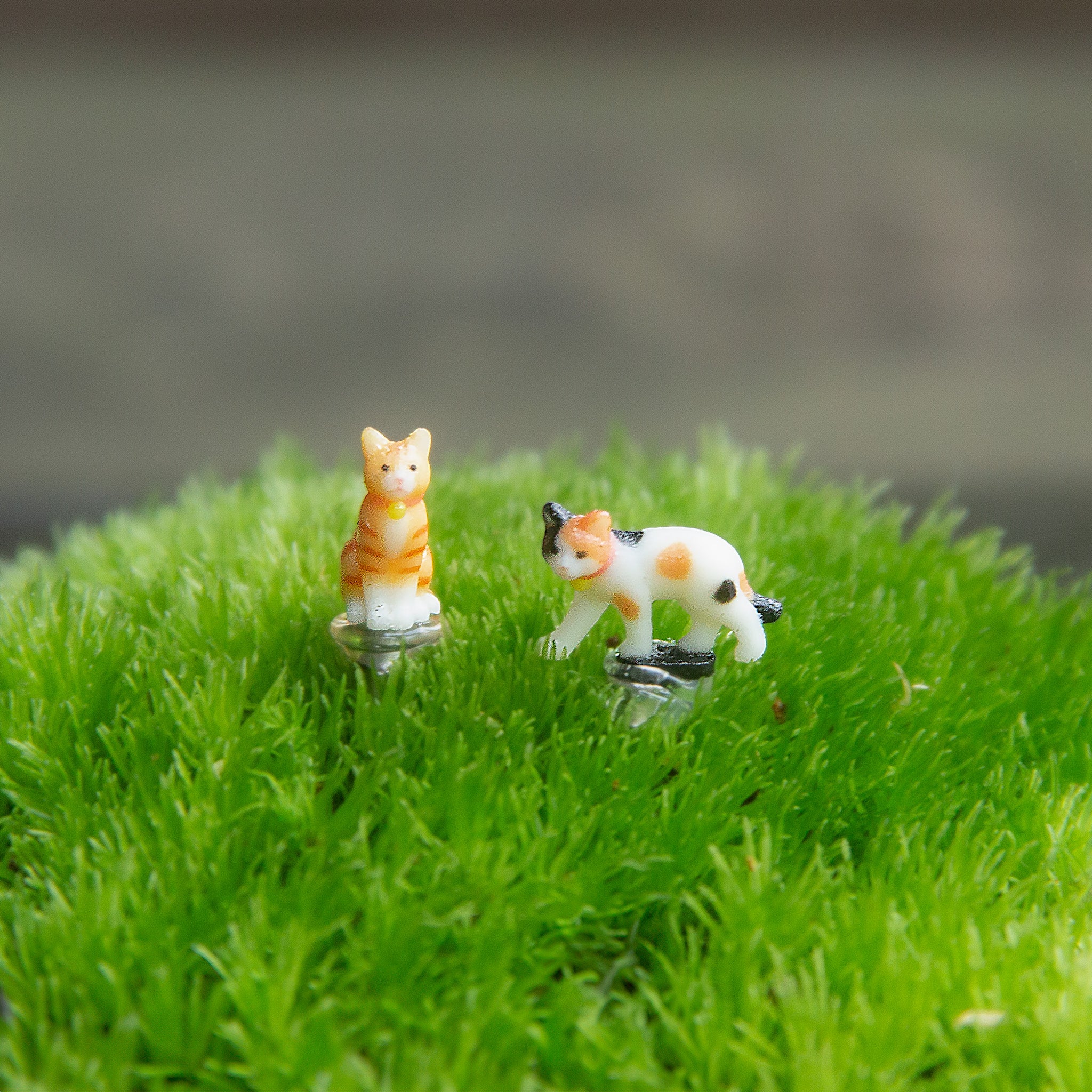 商品 – 苔むすび