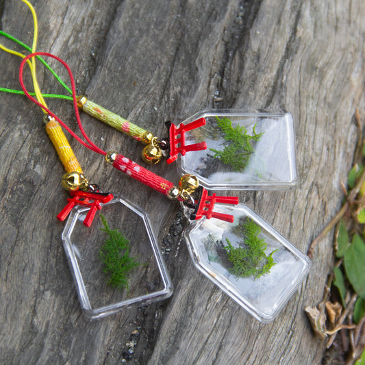 幸せ招く苔守り