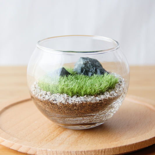 フィギュアなし_枯山水 ボウルS《苔テラリウム・コケリウム》