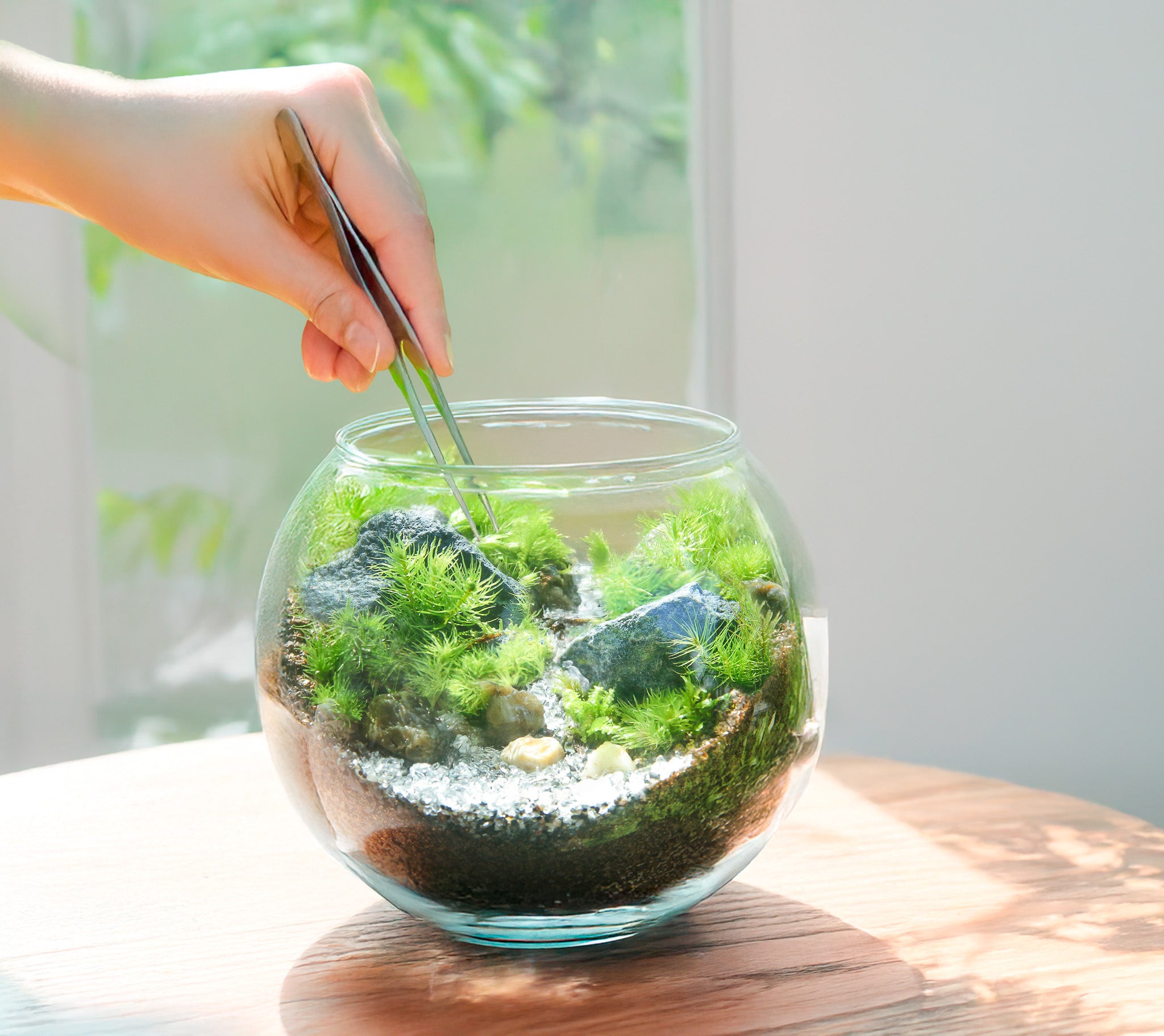 商品 – 苔むすび