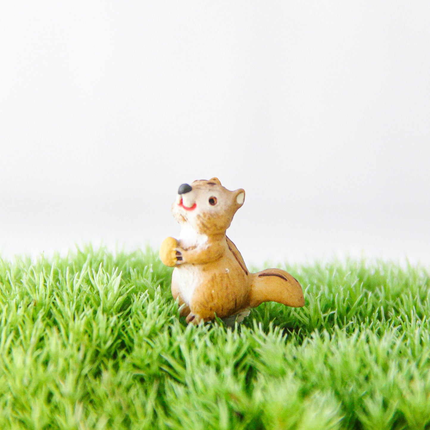 ＼数量限定／ミモザの小さな森 [φ60mm]