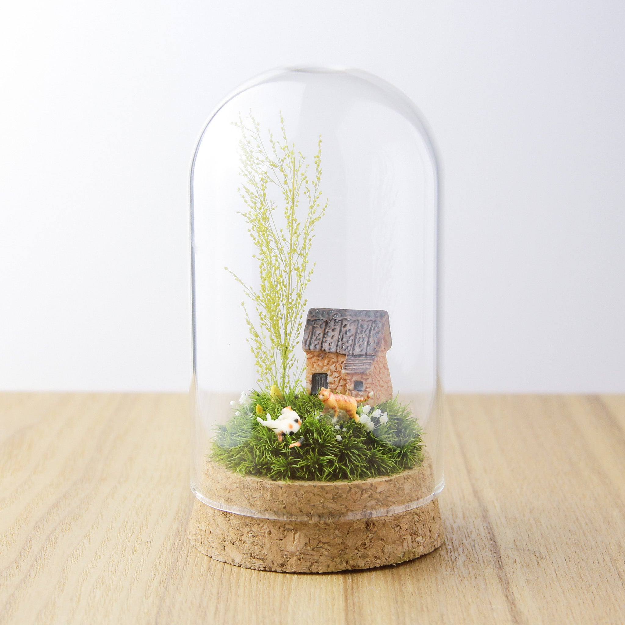 商品 – 苔むすび