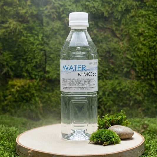 苔の水［苔育成用水］（500cc）《苔テラリウム・コケリウム用》
