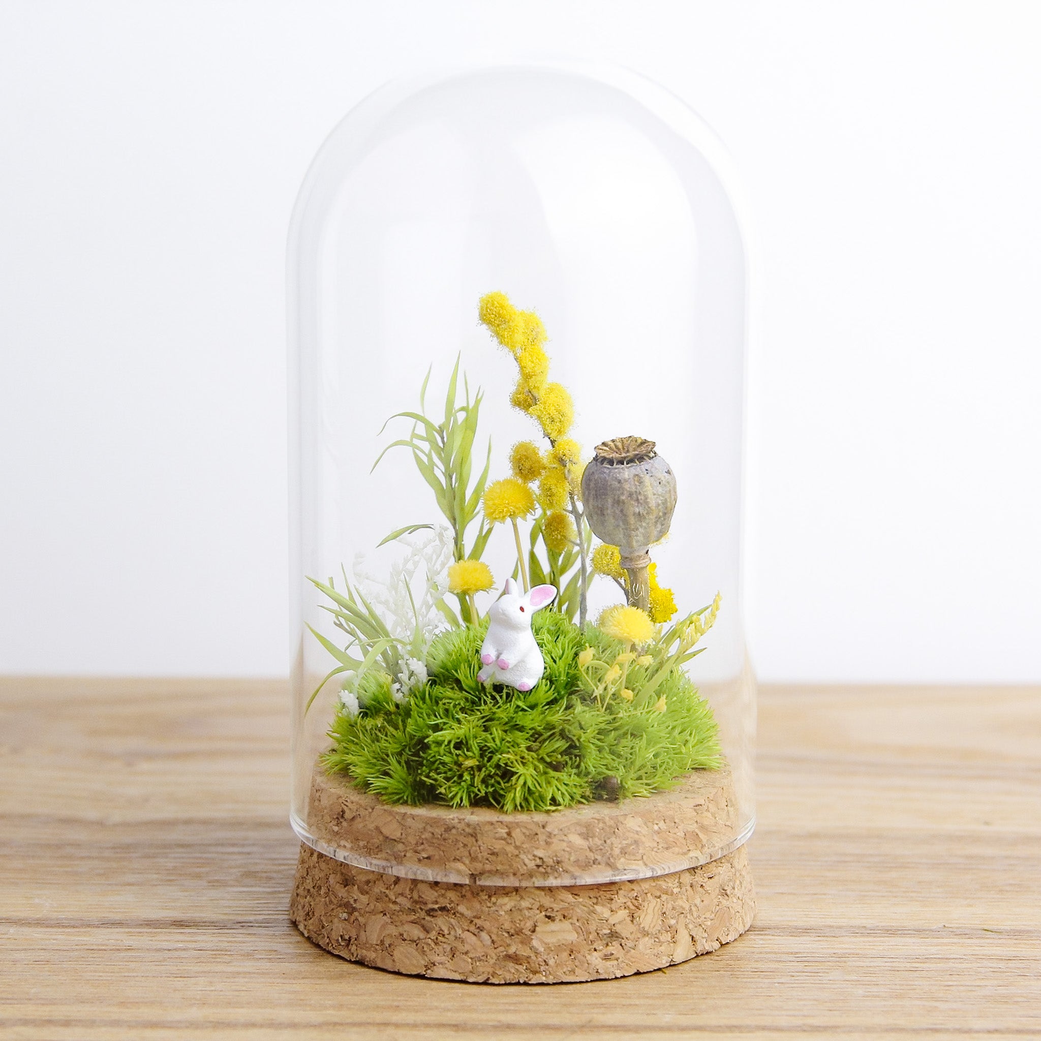 道草michikusa 苔テラリウム専門Shop | 奥入瀬渓流館の苔