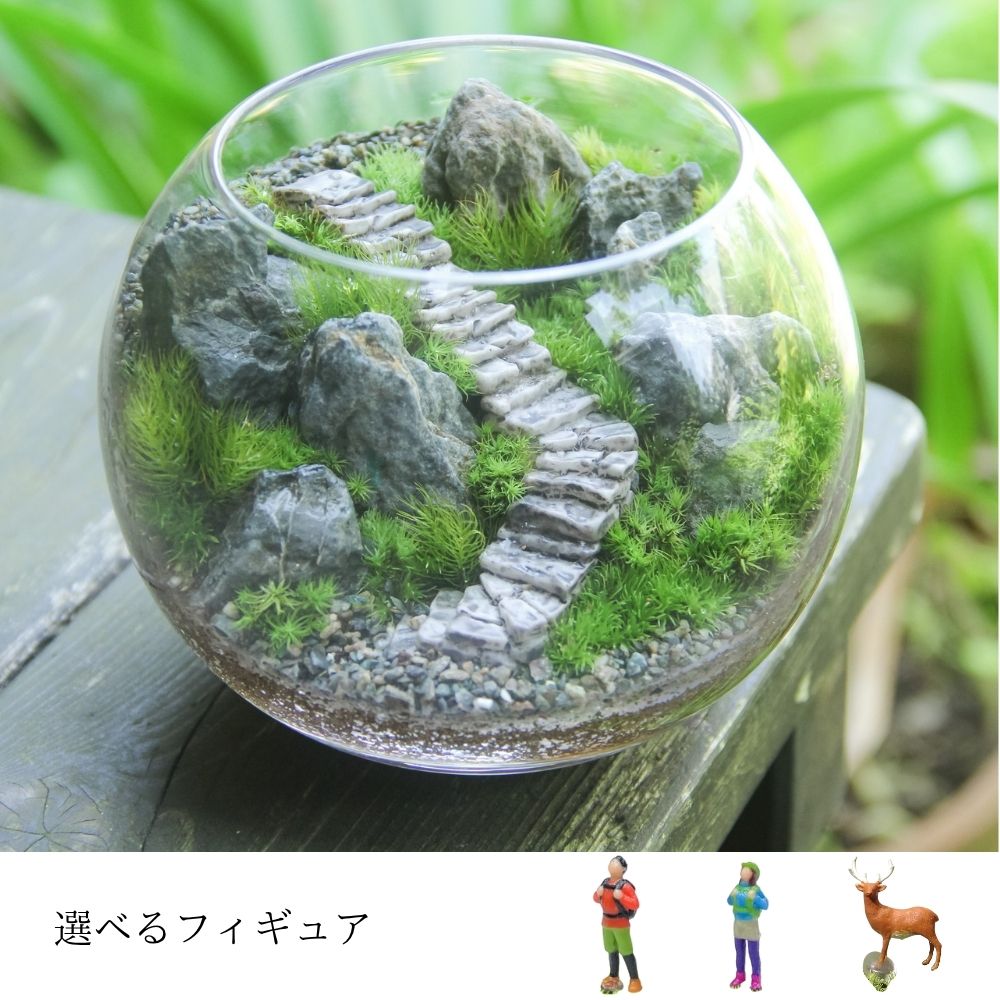 10.000〜 – 苔むすび