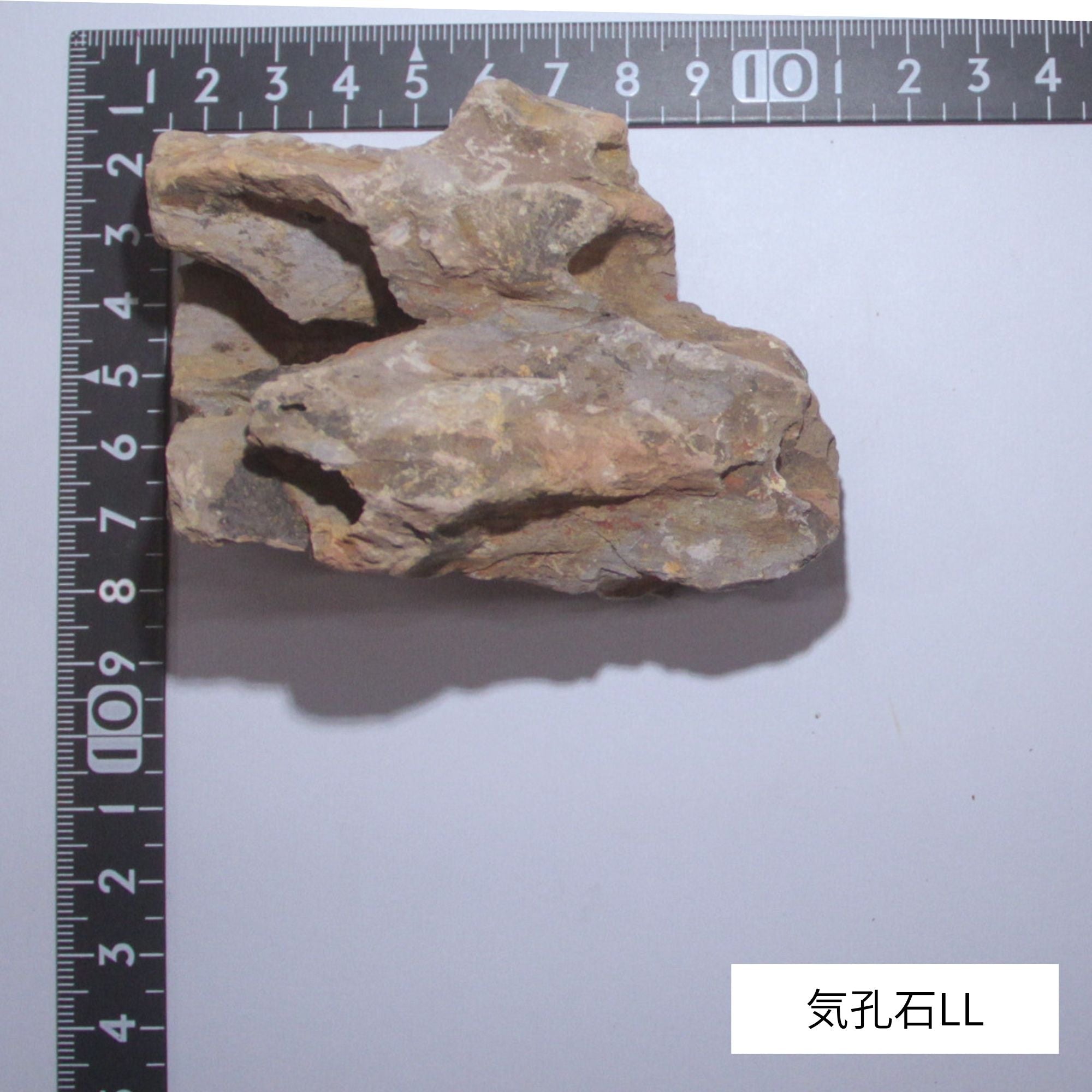気孔石】 サイズ3種類 《苔テラリウム用装飾石》 – 苔むすび