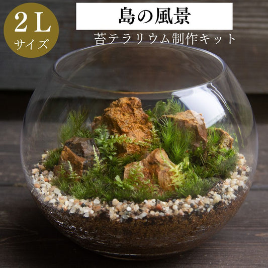 島の風景　苔テラリウム制作キット（ボウル2L：直径12センチ×高さ11センチ）