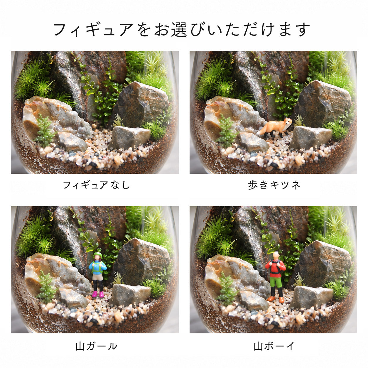 選べるフィギュア】山岳の風景 ドロップL《苔テラリウム》 – 苔むすび