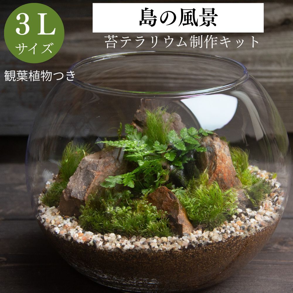 島の風景　苔テラリウム制作キット（ボウル3L：直径15センチ×高さ11.5センチ）