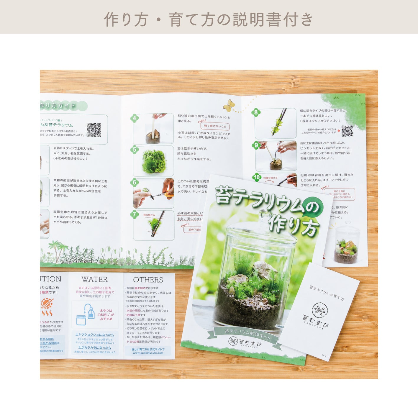 ＼観葉植物入り／樹海の風景　苔テラリウム制作キット（幅20センチ×奥行10センチ×高さ10センチ）