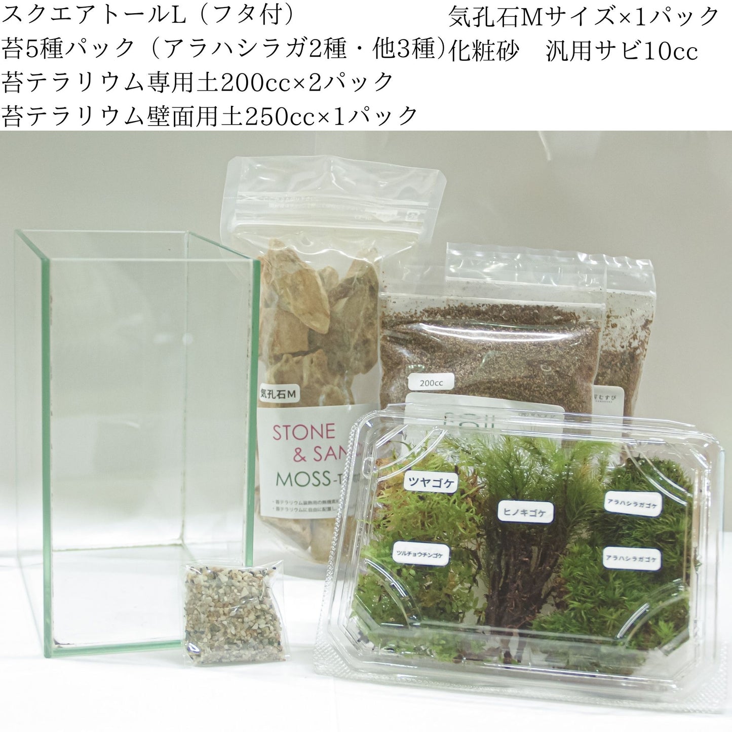 ＼高さ15センチ本棚を彩る苔テラリウム／【スクエアートールL 本棚 苔テラリウム制作キット】《苔5種パック》