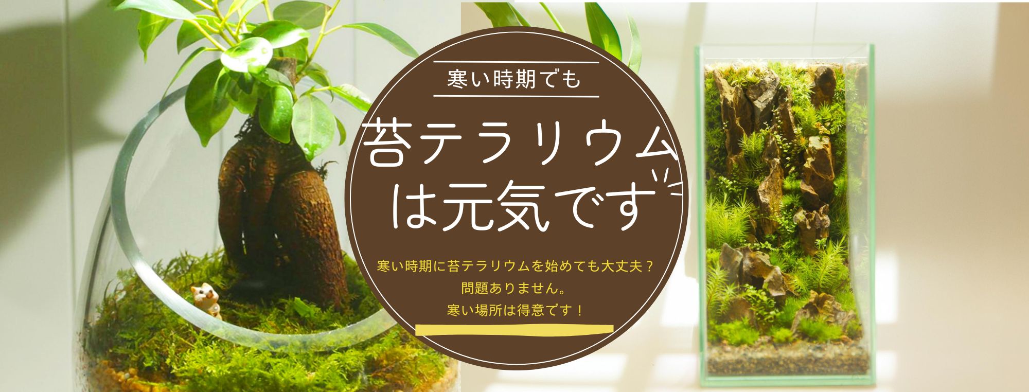 苔むすび OnlineShop