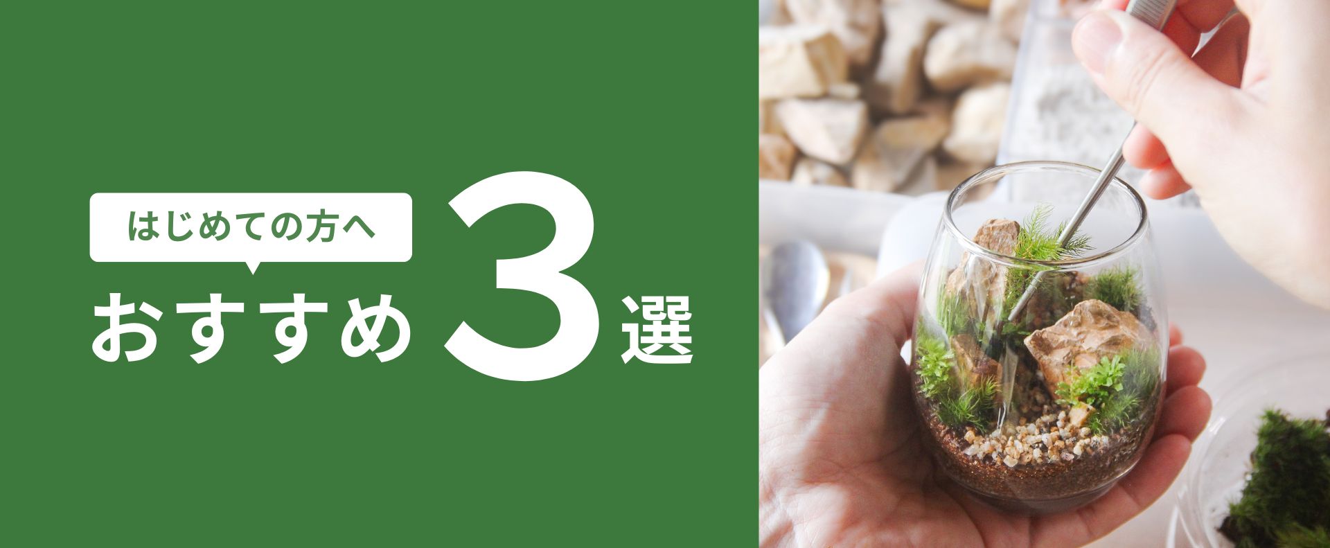 苔テラリウム専門店-苔むすび OnlineShop