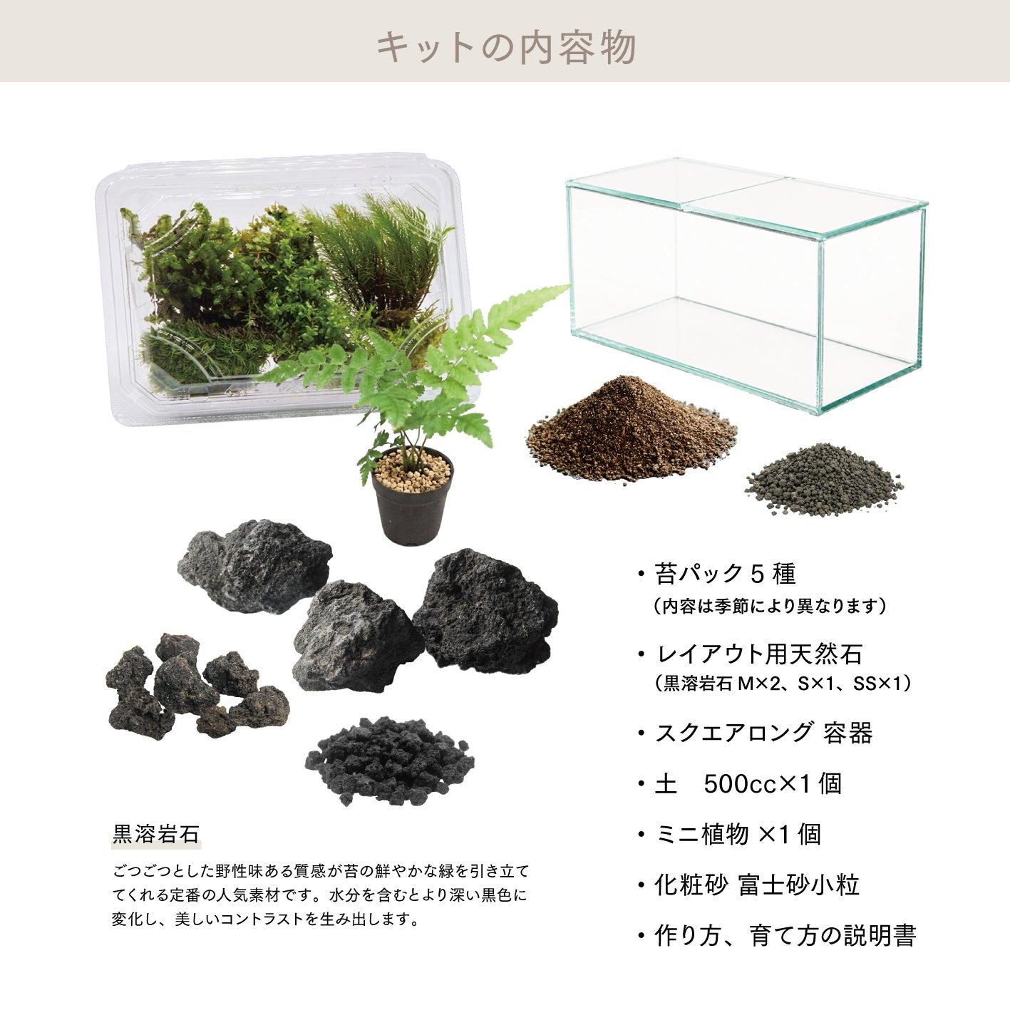 ＼観葉植物入り／樹海の風景　苔テラリウム制作キット（幅20センチ×奥行10センチ×高さ10センチ）