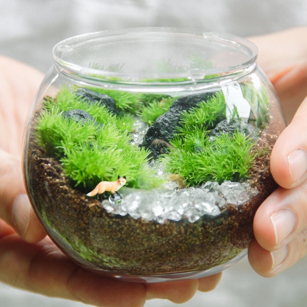 キツネ1匹_渓流の風景 ボウルM《苔テラリウム・コケリウム》