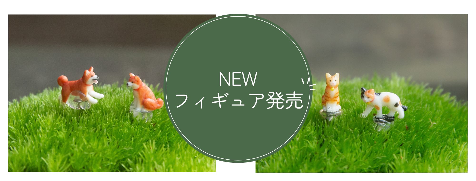 苔テラリウム専門店-苔むすび OnlineShop