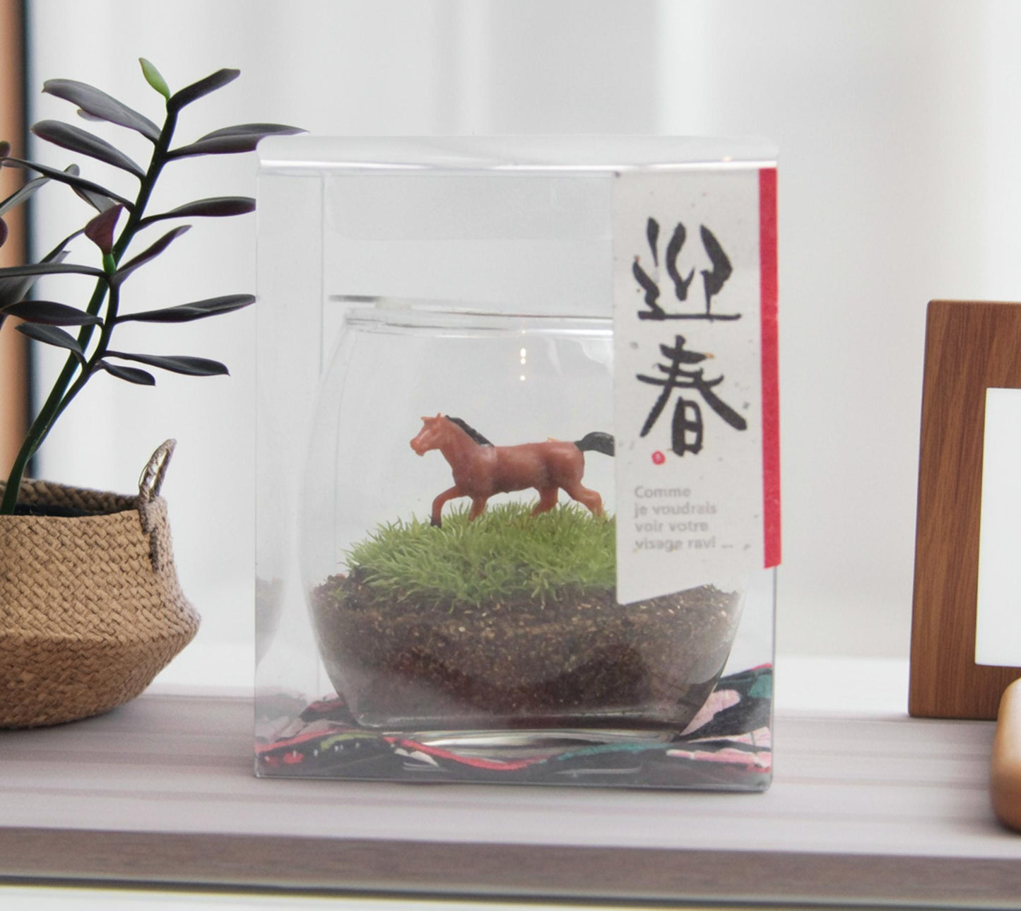 《迎春》苔テラリウム「駆（うま）」＼送料無料／