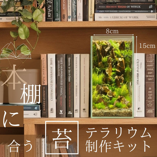 ＼高さ15センチ本棚を彩る苔テラリウム／本棚 苔テラリウム制作キット《苔5種パック》