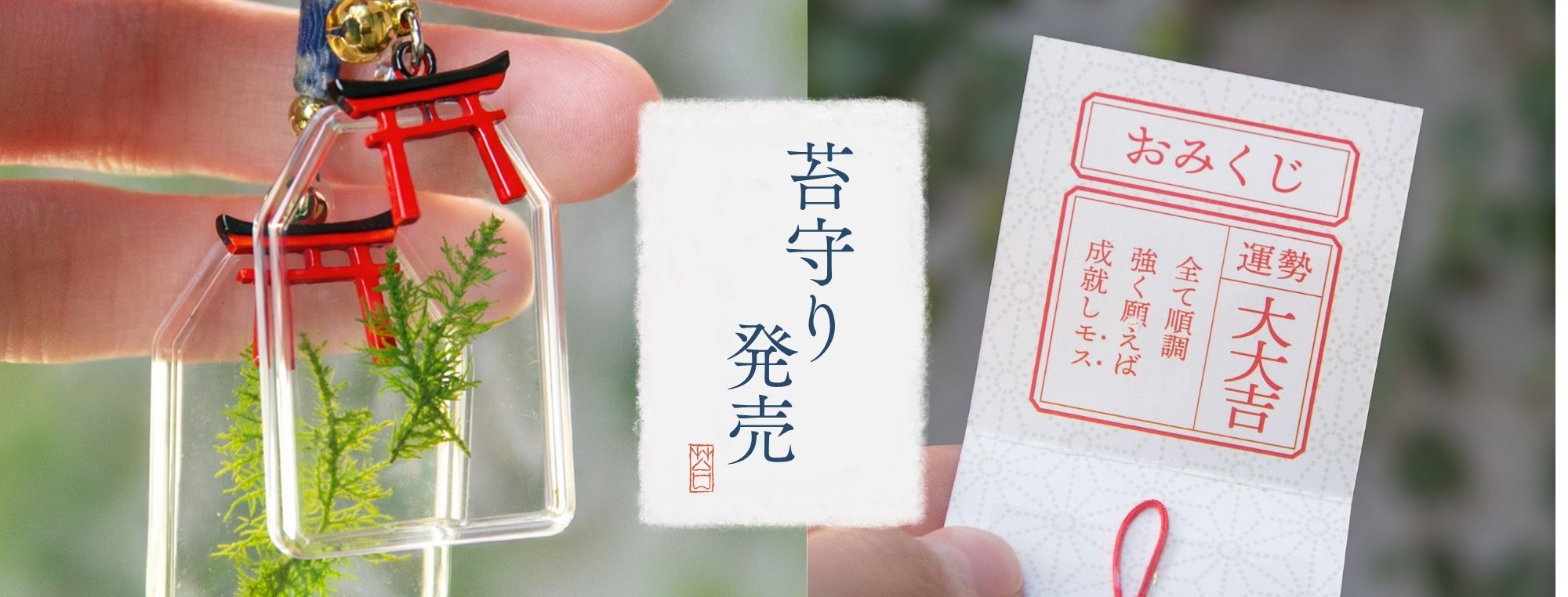 こけむすび 苔テラリウム専門店-苔むすび OnlineShop