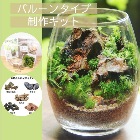 【バルーン type】苔テラリウム制作キット《苔パック5種》