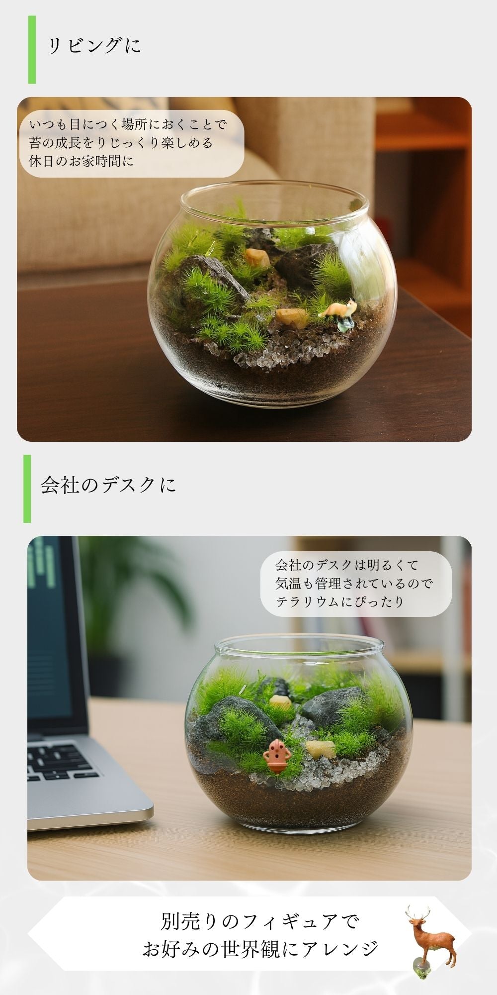 渓流の風景　苔テラリウム制作キット《苔パック4種》